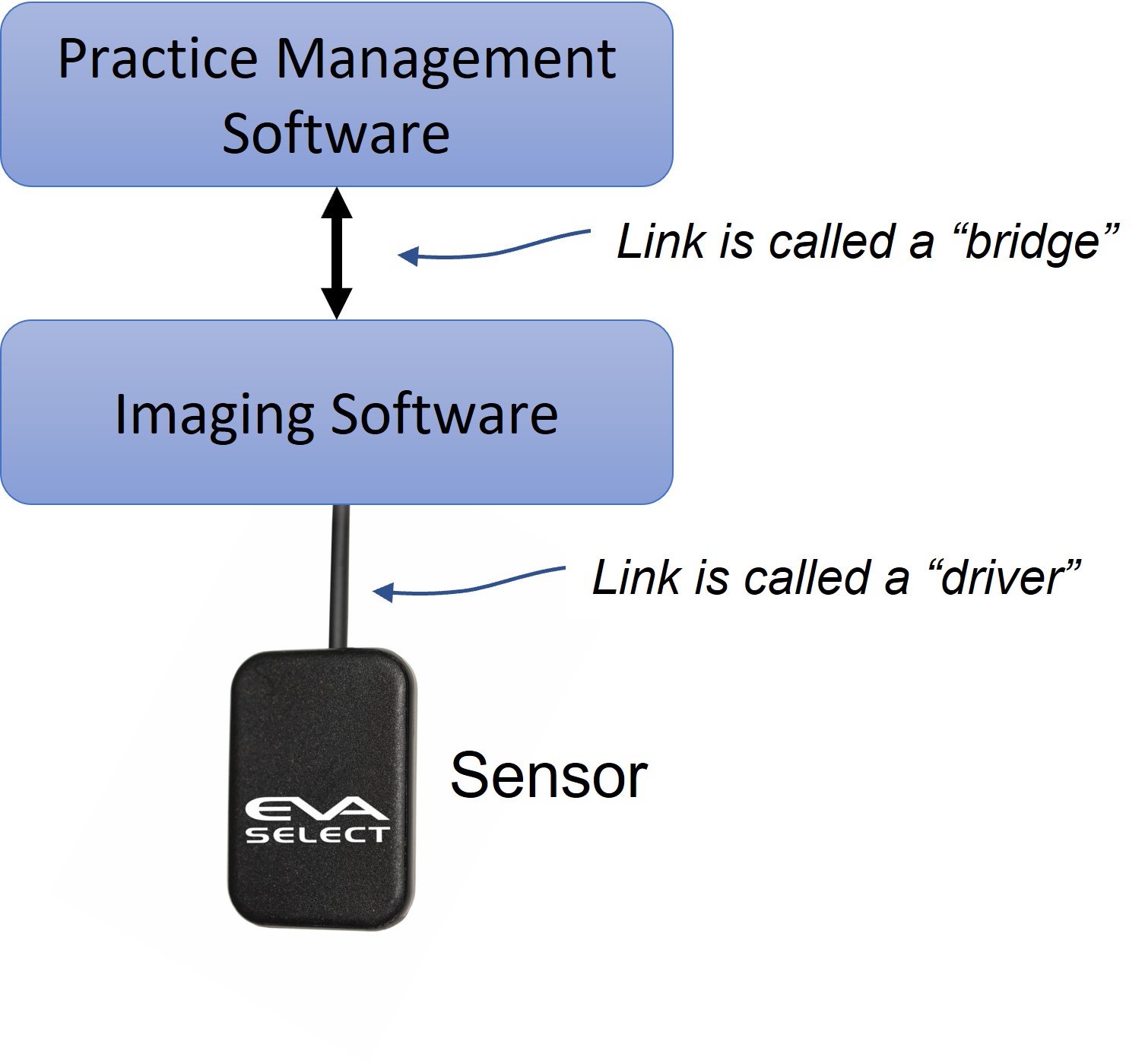 The Seven Most Common Questions When Implementing a New Dental